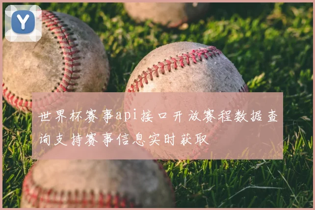世界杯赛事api接口开放赛程数据查询支持赛事信息实时获取