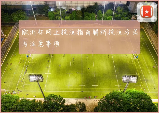 欧洲杯网上投注指南解析投注方式与注意事项