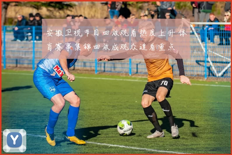 安徽卫视节目回放观看热度上升 体育赛事集锦回放成观众追看重点