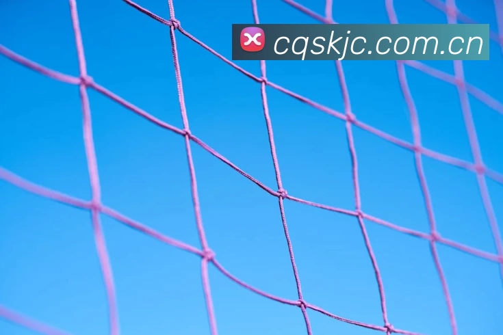 俄罗斯世界杯中国官网服务体系